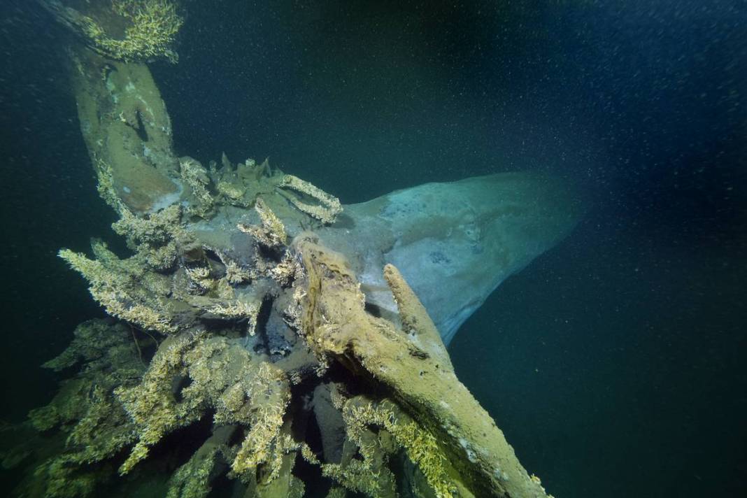 1999 Gölcük depreminde sular altında kalmıştı: Şaşırtan manzara! 26 yıl sonra görüntülendi 7
